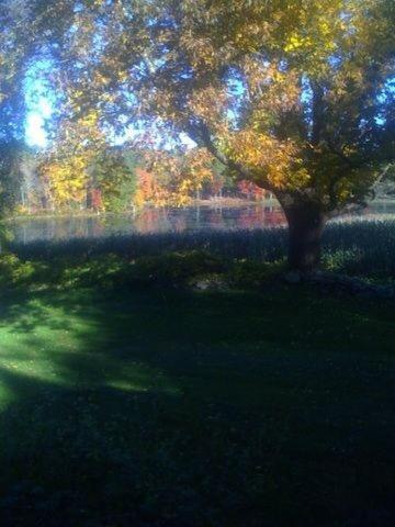 Inn At Fox Hill Farm Pomfret Buitenkant foto